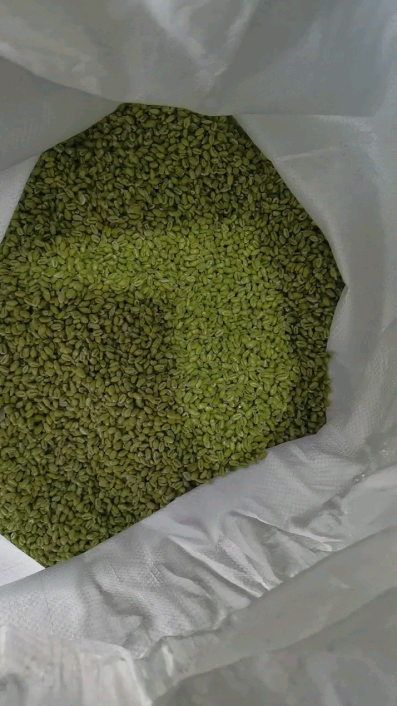 青麦仁源头厂家青麦粒青小麦量大从优质量保证欢迎咨询