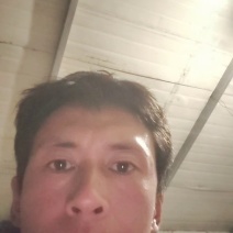鸡毛菜肖根鸡毛菜产地直发量大从优可视频看货对接全国