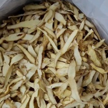 玉竹大统