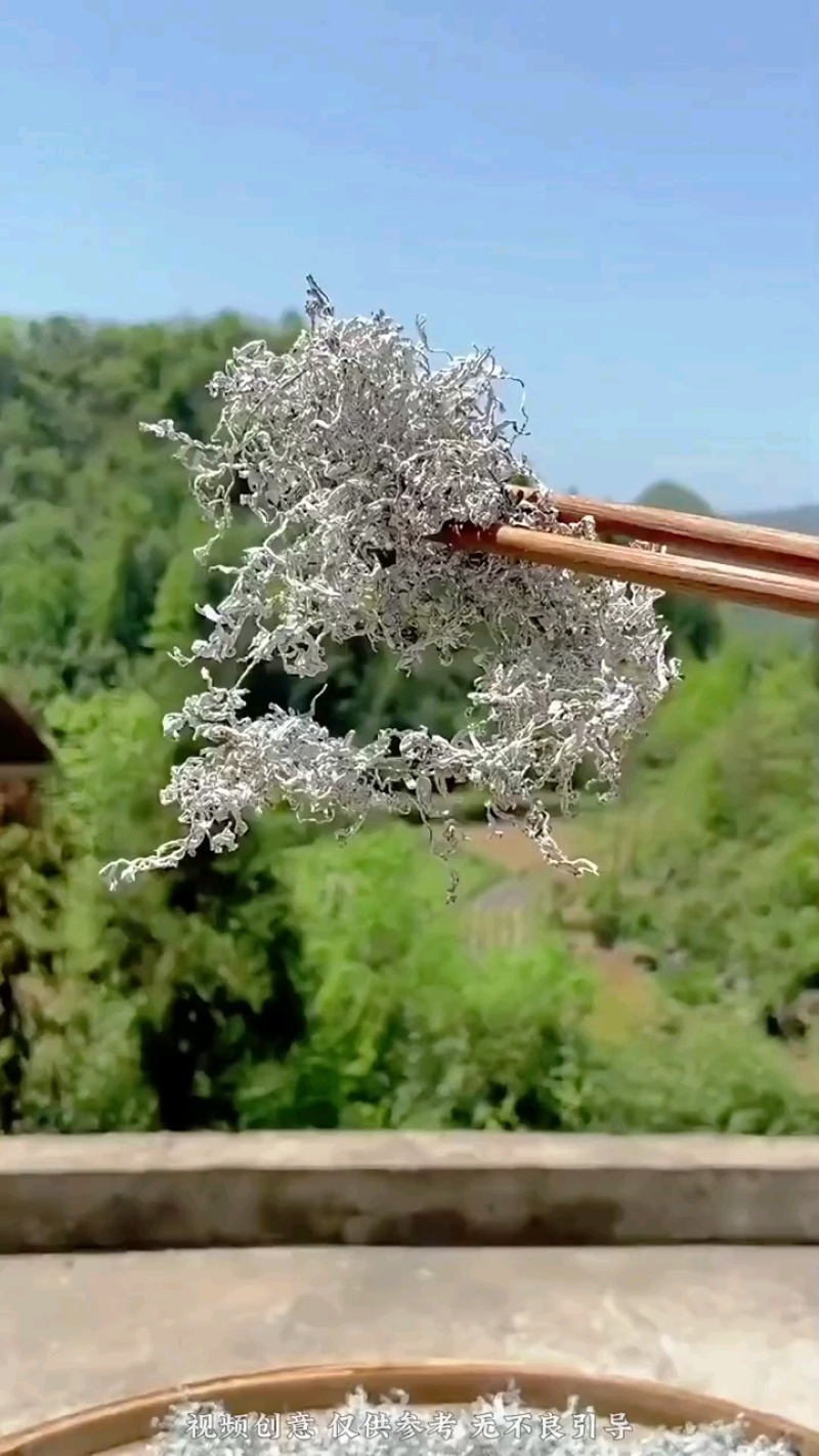 恩施藤茶嫩芽龙须