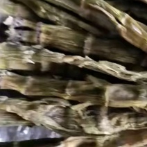 【实力热卖】小笋干，高山笋干，直尖笋干，弯尖笋干可视频看货