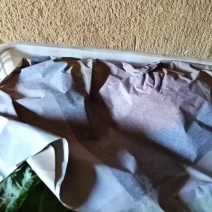 邯郸甘蓝大量到货，收货价0.35元起