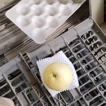 4米2发往内蒙古，货好价格低！