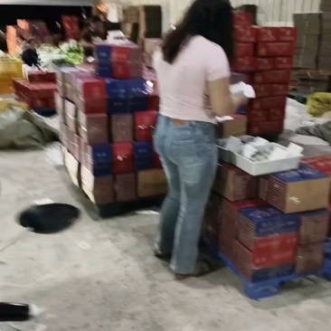 海南木瓜单果500g起三保供货、一件代发+整车批发