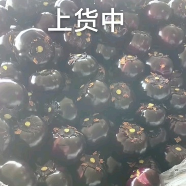 优质茄子，质量杠杠的！