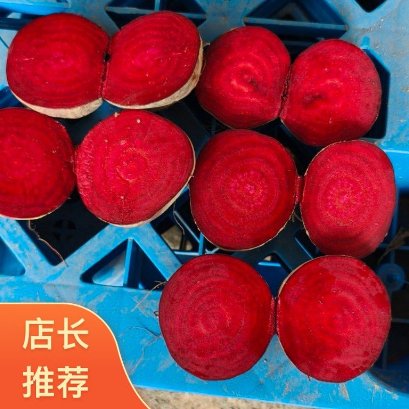 徐州红甜菜基地全年供应红甜菜货量充足全国发货致电联系