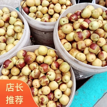 2026大荔县直发大荔大棚冬枣价格美丽货源稳定可批发