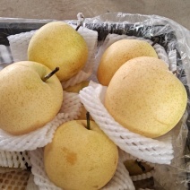 青皮皇冠梨产地直销超市优选型号齐全