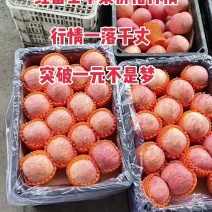 代收代存山东红富士苹果，有专业工人，全部手选货！质量达标