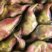 大青菱角，二青菱角