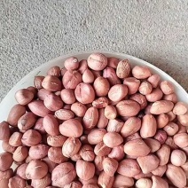2025白沙花生米-无碎瓣适合榨油，商品，电商，加工厂