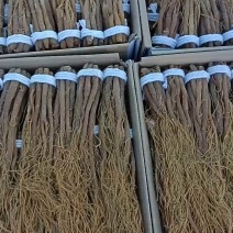红参须，原产地发货通过多道工序捆绑，红须味甘，泡水煲汤，