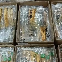 保鲜参，独立包装，体态好，原产地发货，大量供货