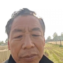 红薯淀粉
