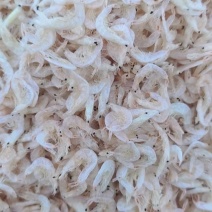精品淡干无盐虾皮越南淡干虾皮，诚信经营，可视频看货