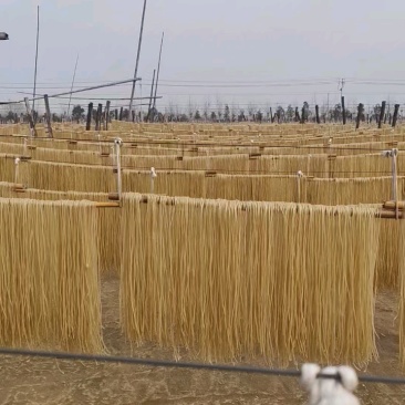 【厂家直销】红薯粉条和木薯粉条火锅川粉