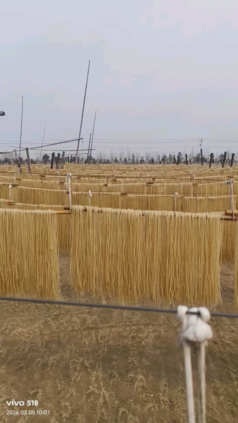 【厂家直销】红薯粉条和木薯粉条火锅川粉
