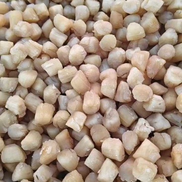 扇贝柱盐干淡干都有大量现货批发不包邮
