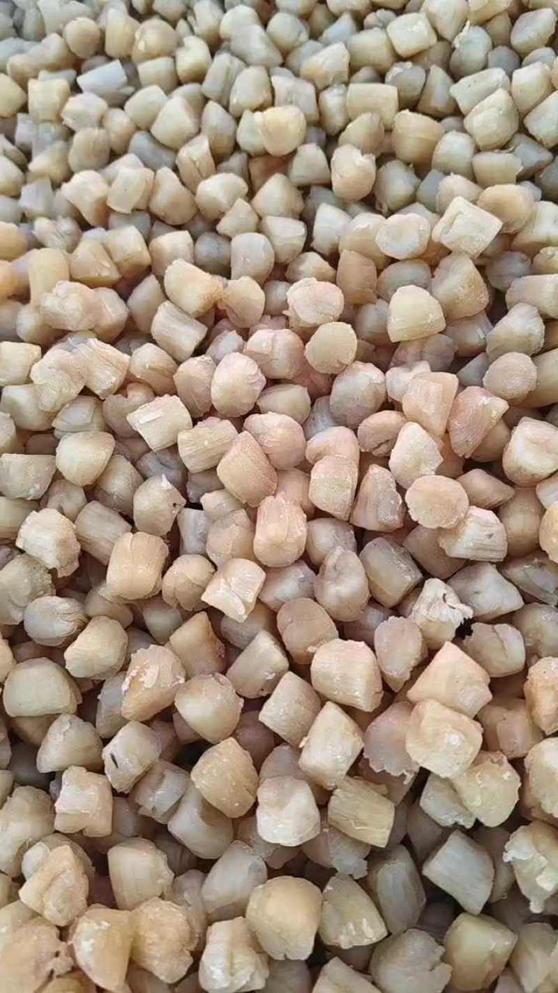 扇贝柱盐干淡干都有大量现货批发不包邮