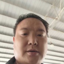 精品甘蓝，圆包菜产地直供大量有货对接超市批发市场全国发货