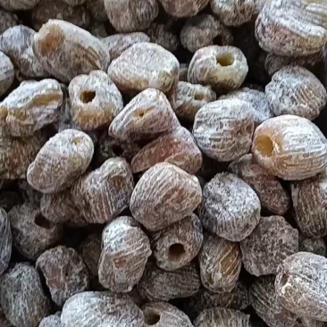 【厂家推荐】干蜜枣口感清甜品质保证，厂家直供一手货源