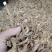 地骨皮：野生：地骨皮片味甜：无骨头一手货原看规格下单