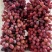 新疆精品克伦生葡萄产地直发品质保证量大从优一手货源