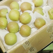 【酥脆无渣】玉露香梨梨中贵族皮薄核小保质保量