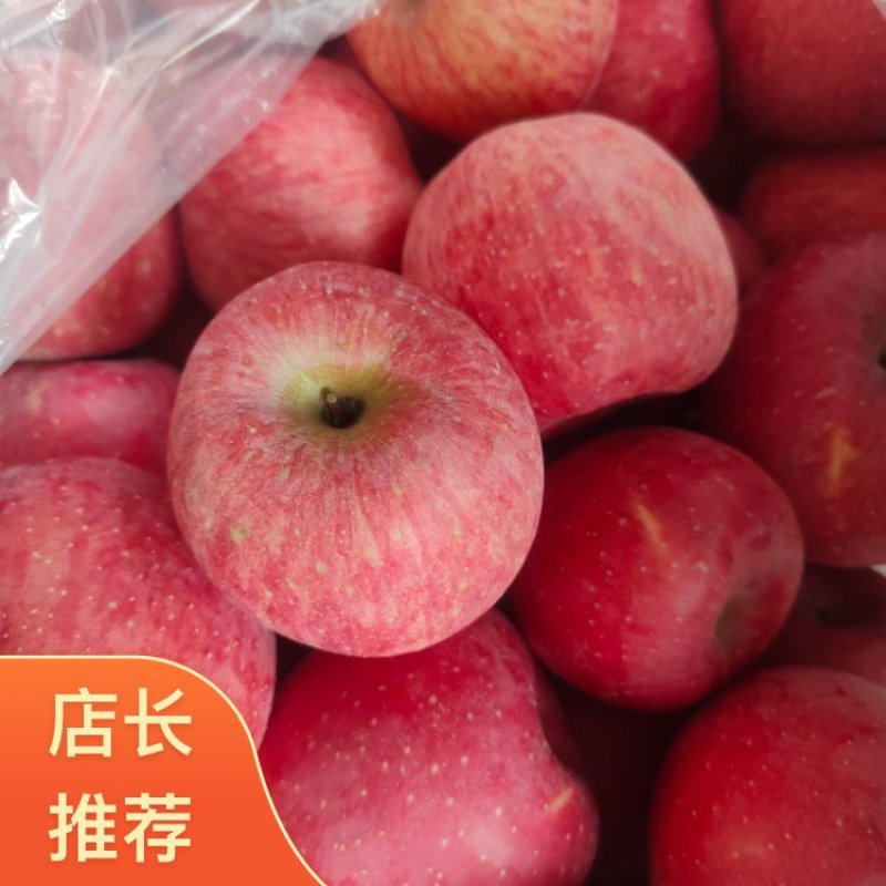 2026陕西直发加膜红富士苹果果面干净无裂纹无伤㡾