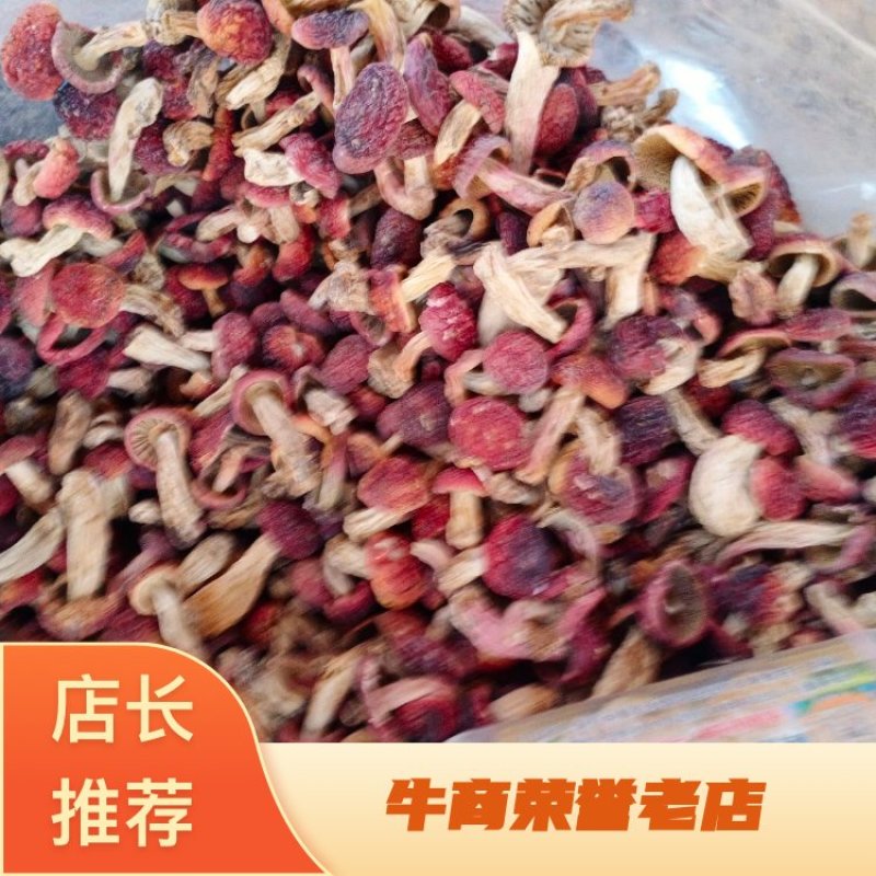 云南红菇野生红菇一手货源量大从优