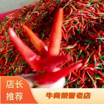 鲜辣椒-尖椒小油辣云南文山产地直销量大优