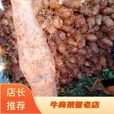 云南山药产地现货量大价格可优惠