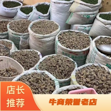 正宗文山三七视频看货产地直销量大价格可优惠