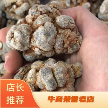 正宗三七文山三七可视频看货产地现货一手货源包邮