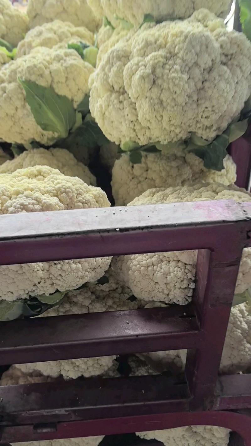 松花菜，散花，松花，有机菜花，咸阳有机花，陕西松花，三原