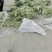精品豆角基地直供安徽芜湖鸠江区农家自种现摘现发