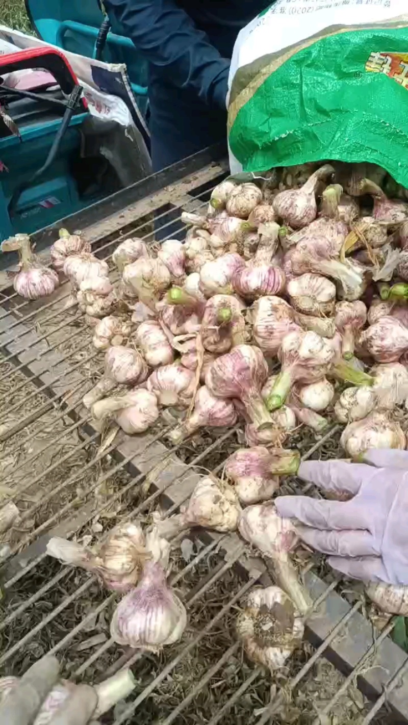 九毛钱，多规格现货！
