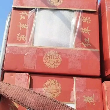 广东苹果蕉大量上市。田头采摘直发。