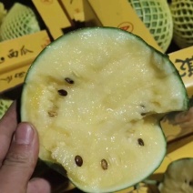 【抢购】江苏宿迁沭阳西瓜特小凤西瓜大量有货糖分高价格优惠