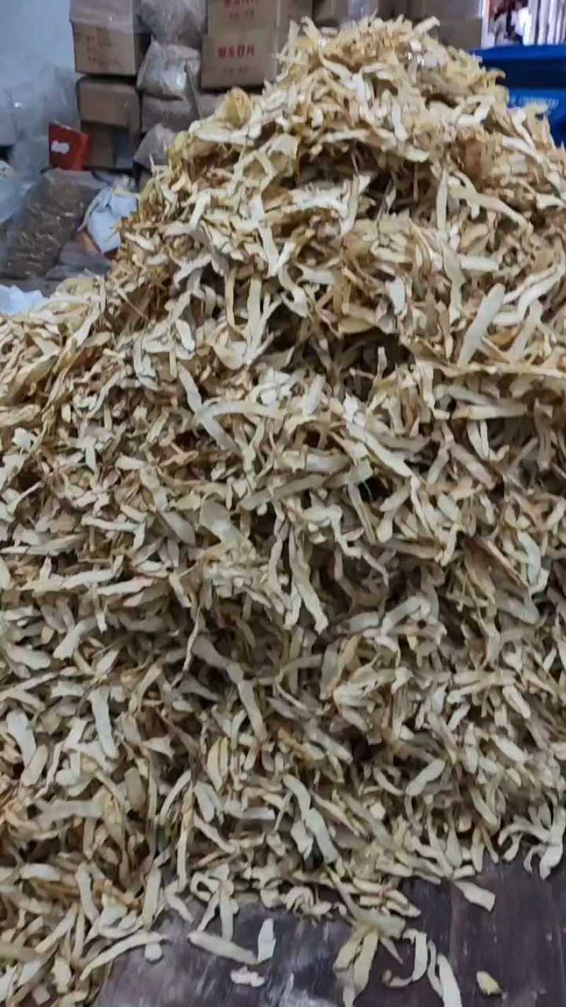 玉竹选片