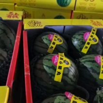 小糖丸一块七一斤，质量好！