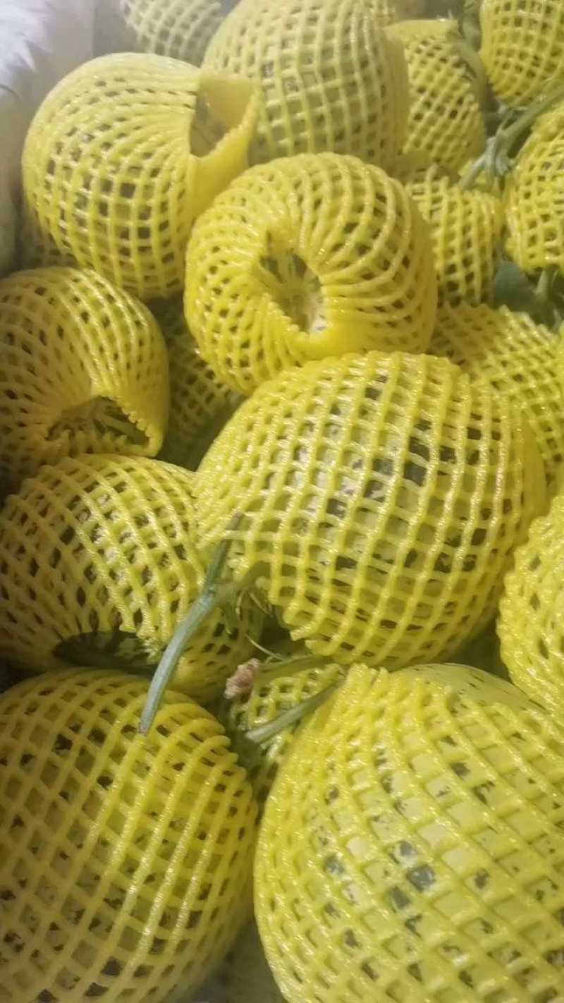 花美人大量到货，品质优，师傅级种植！