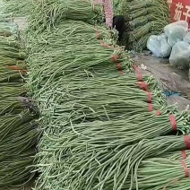 万亩长豆角上市产地直发，全国发货欢迎来电咨询优惠