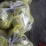 精品圆茄紫茄子货源充足量大从优质量保证对接全国欢迎咨询