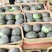 小糖丸西瓜安徽无籽手撕西瓜吊瓜早春红玉商超电商供