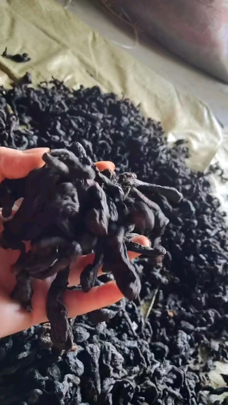 黄精一一一野生黄精九蒸九晒批发营养你我他