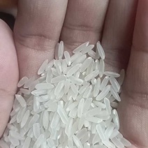 一级黄花粘，无碎米无白米，香米，包装精美，免费寄样