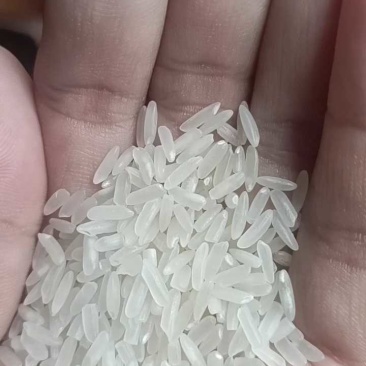 一级黄花粘，无碎米无白米，香米，包装精美，免费寄样