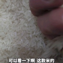 普粳1号米（普优稻花香1号）农户直供现磨新米零售加批发！