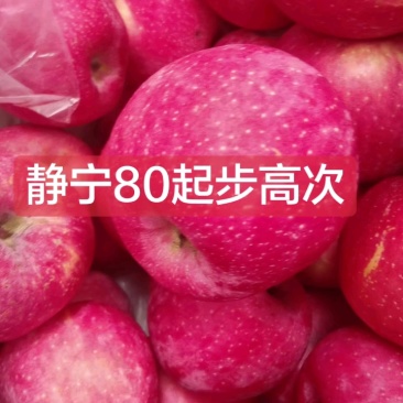 甘肃静宁庄浪地区纸袋红富士苹果/颜色鲜艳硬度高储存周期长